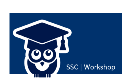 Zum Artikel "SSC Workshop: Learning Techniques 02. July 2024 (English)"